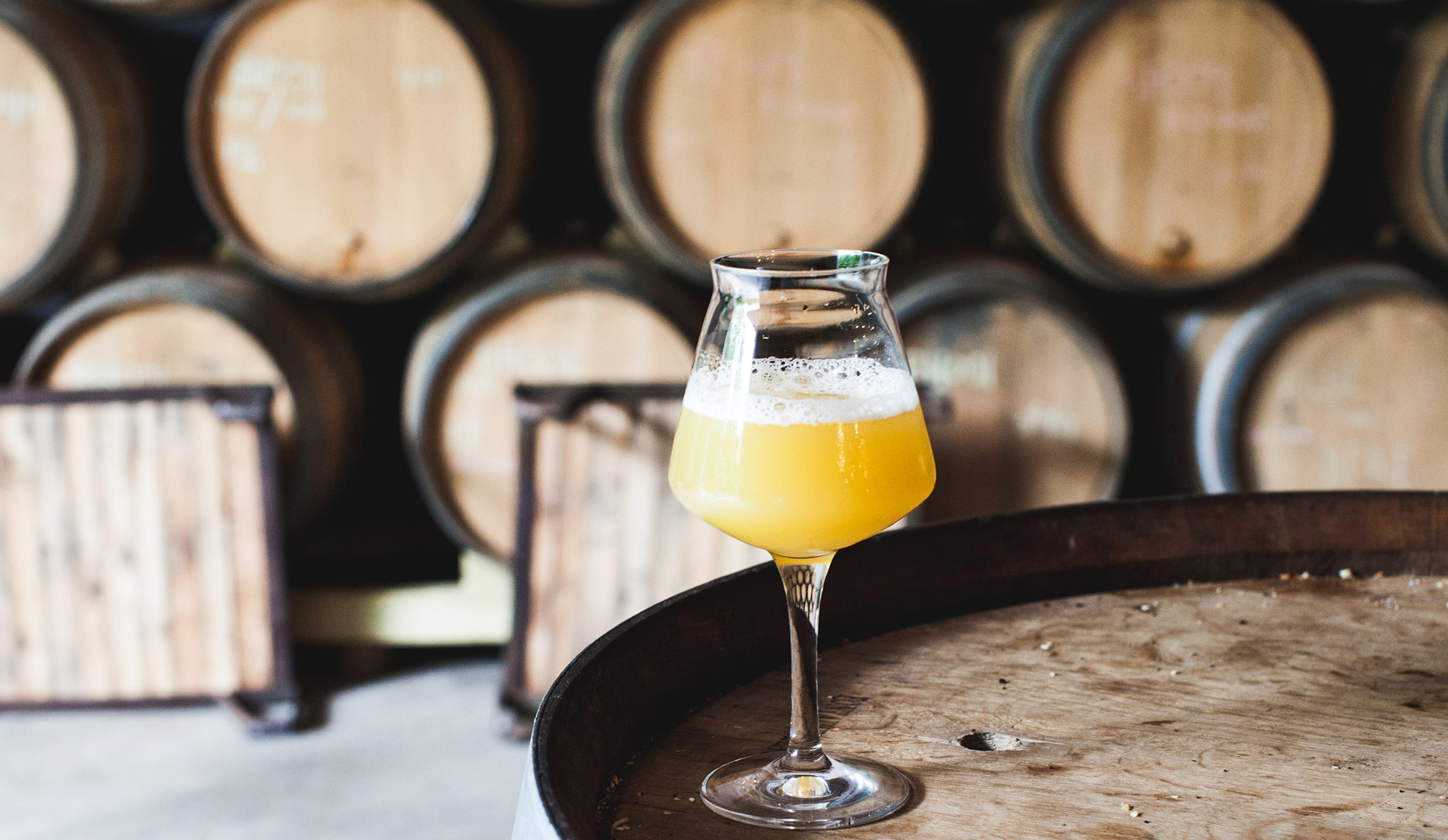 A Conversation with Hop Culture