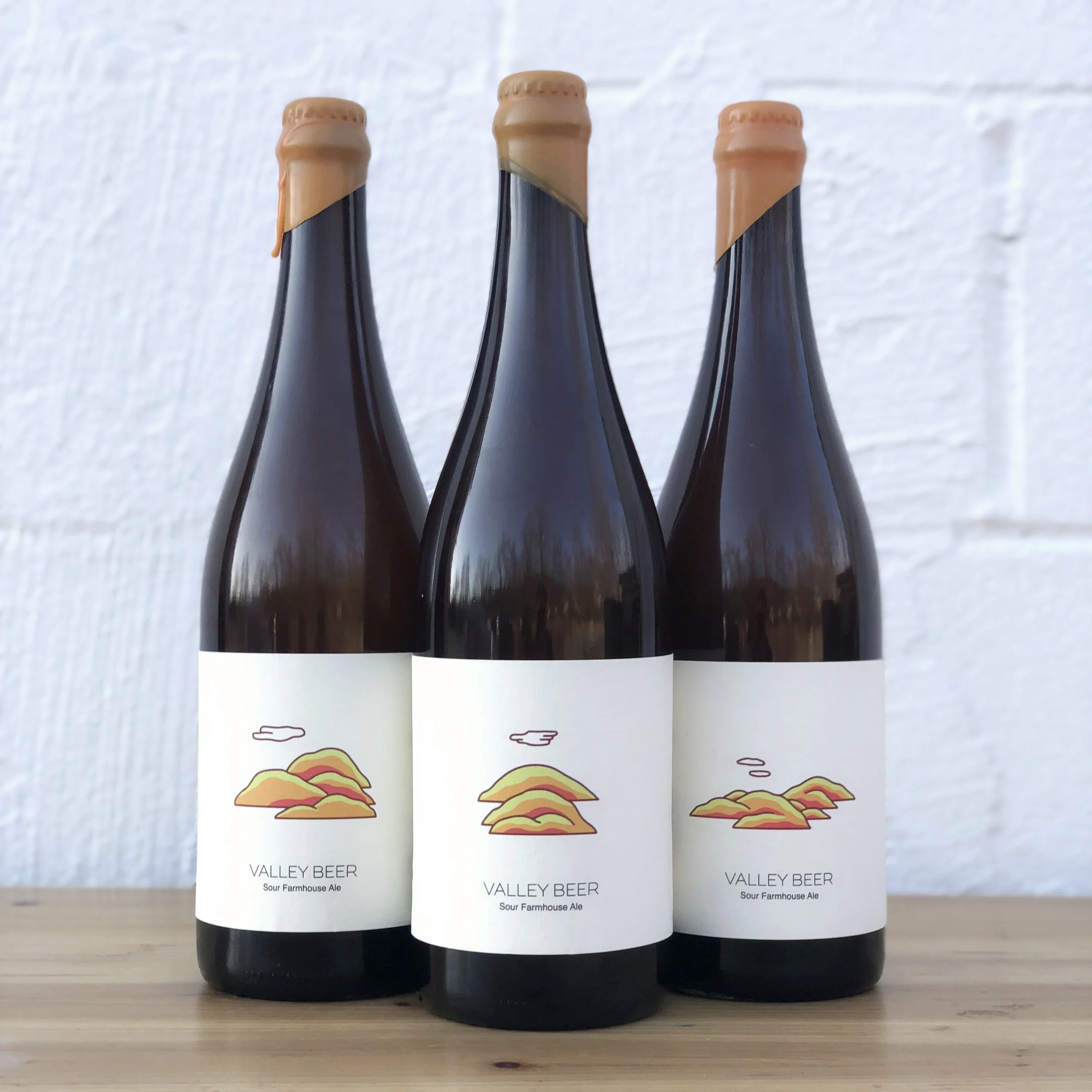 Valley Beer: Fall 2017