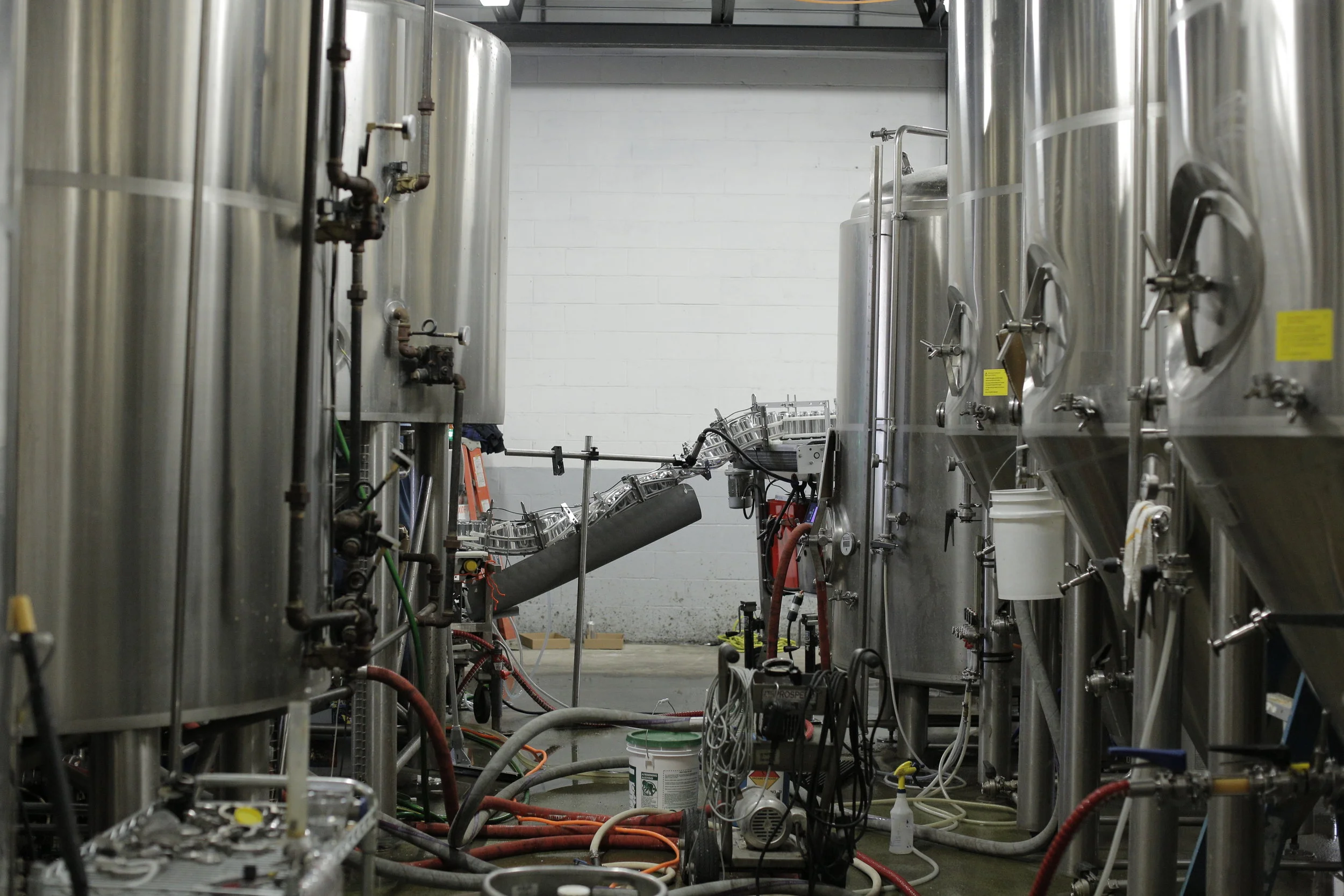 Canning Bloom & Plumage