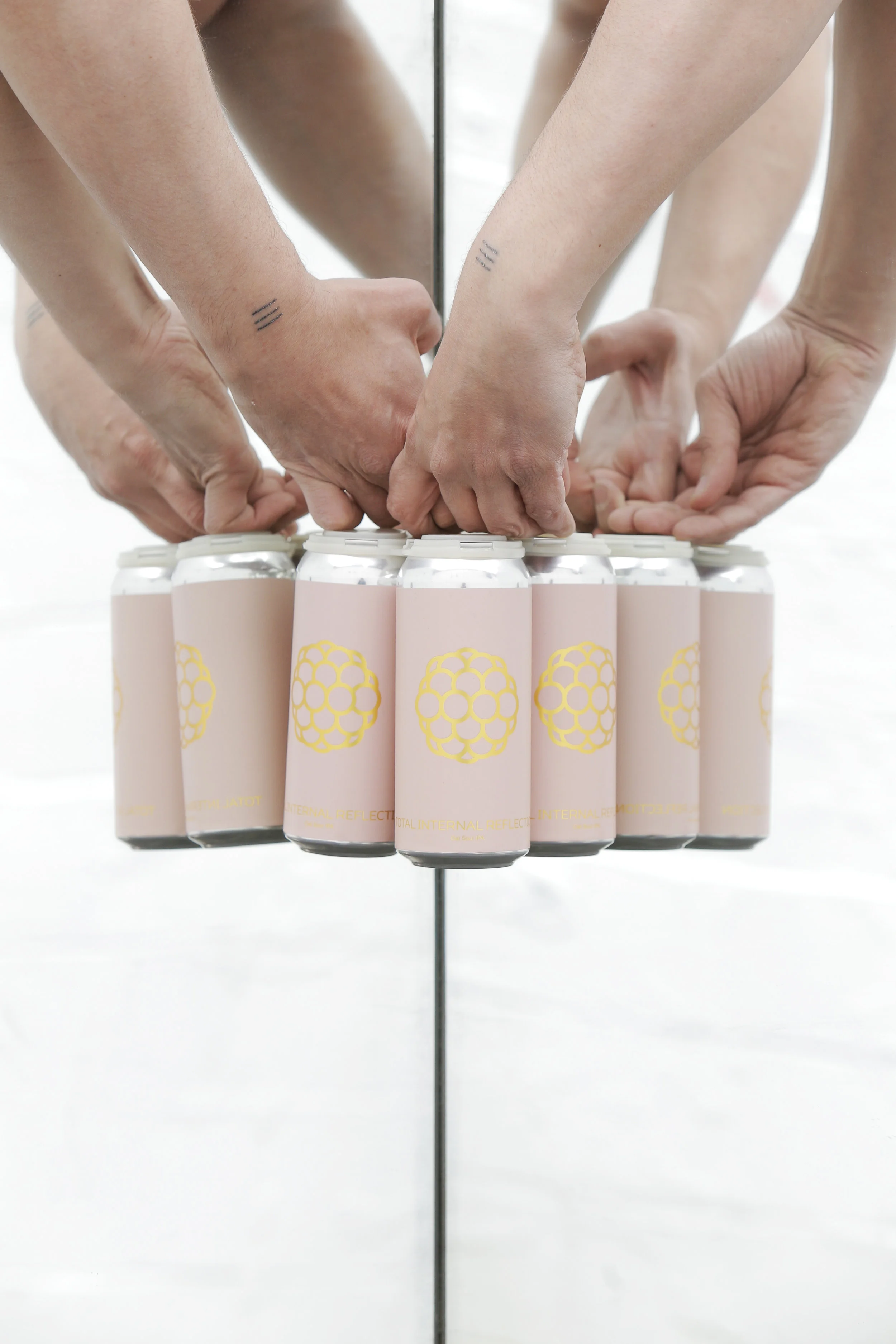 Total Internal Reflection, Soleil Sour IPA & Soleil Sour Farmhouse