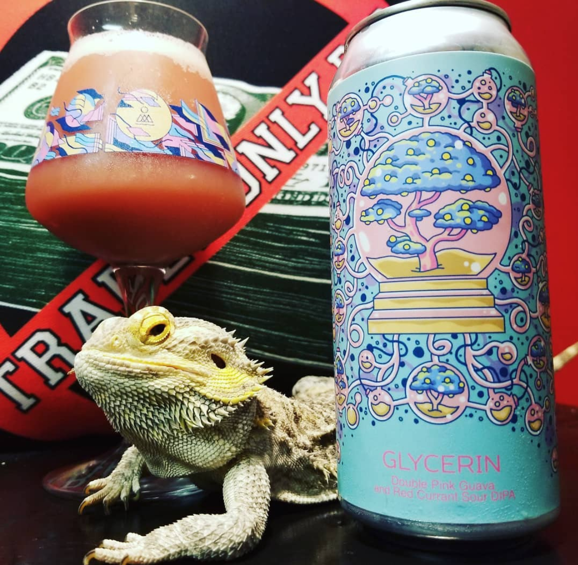 @thebeerdeddragon