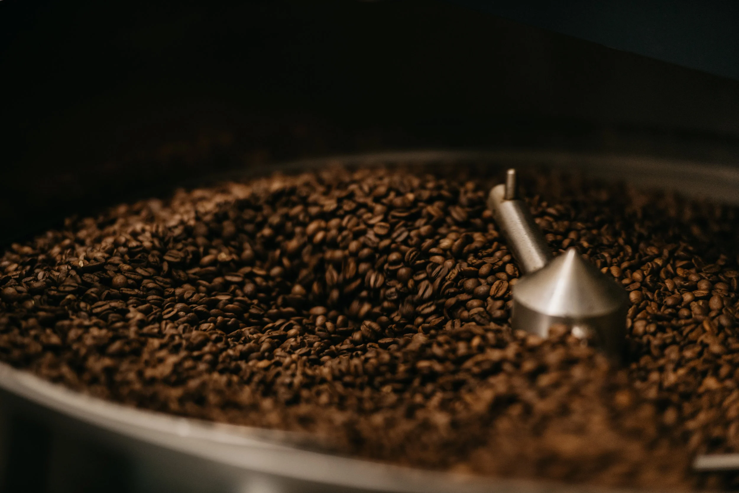 Roasted in Beacon, New York