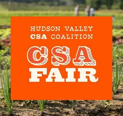 CSA Fair