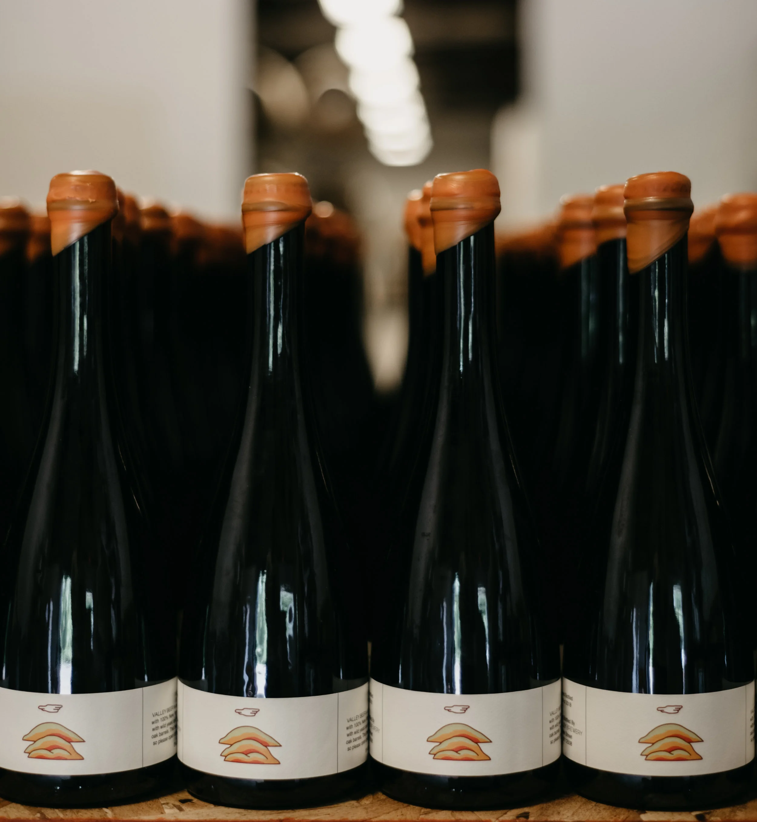 Valley Beer Fall 2018