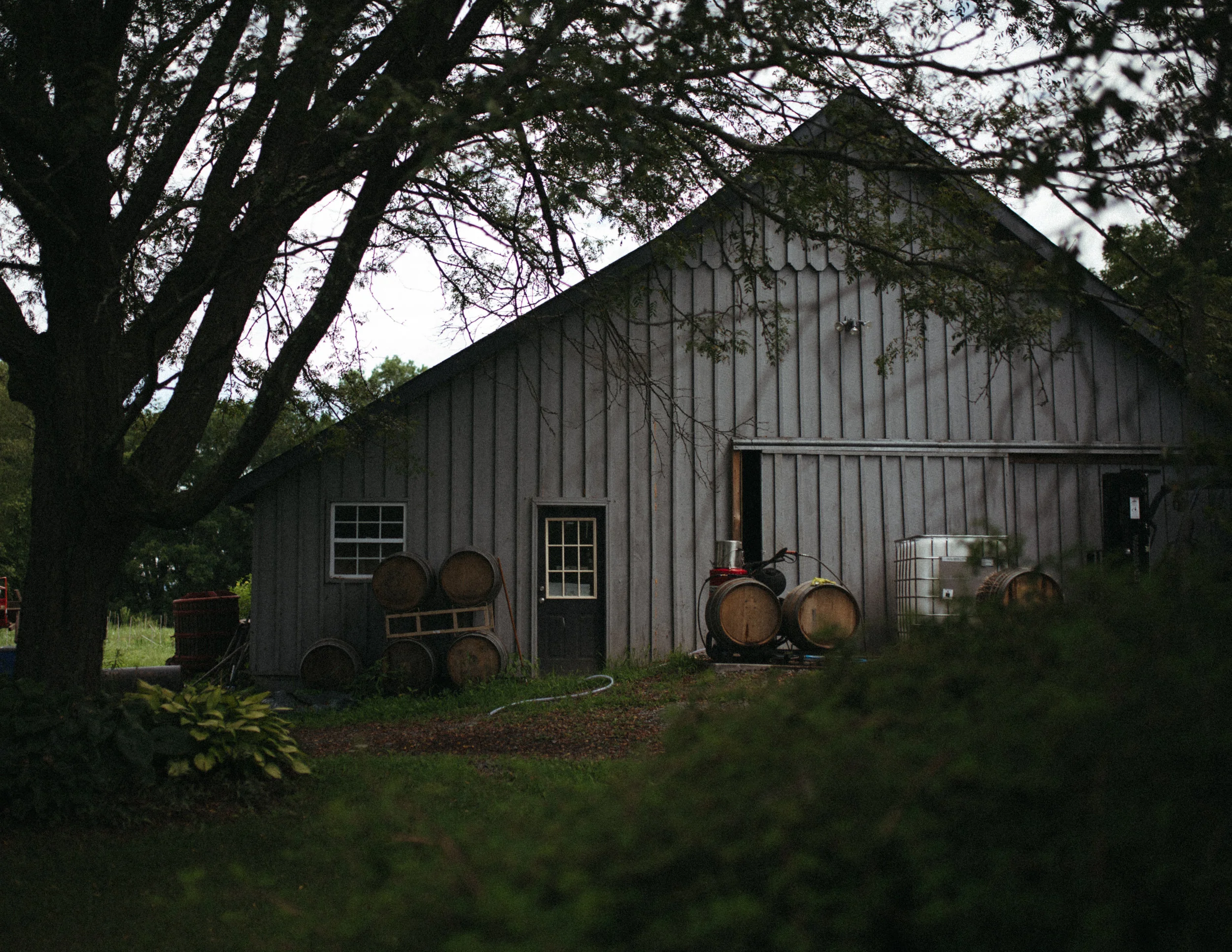Wild Arc Farm