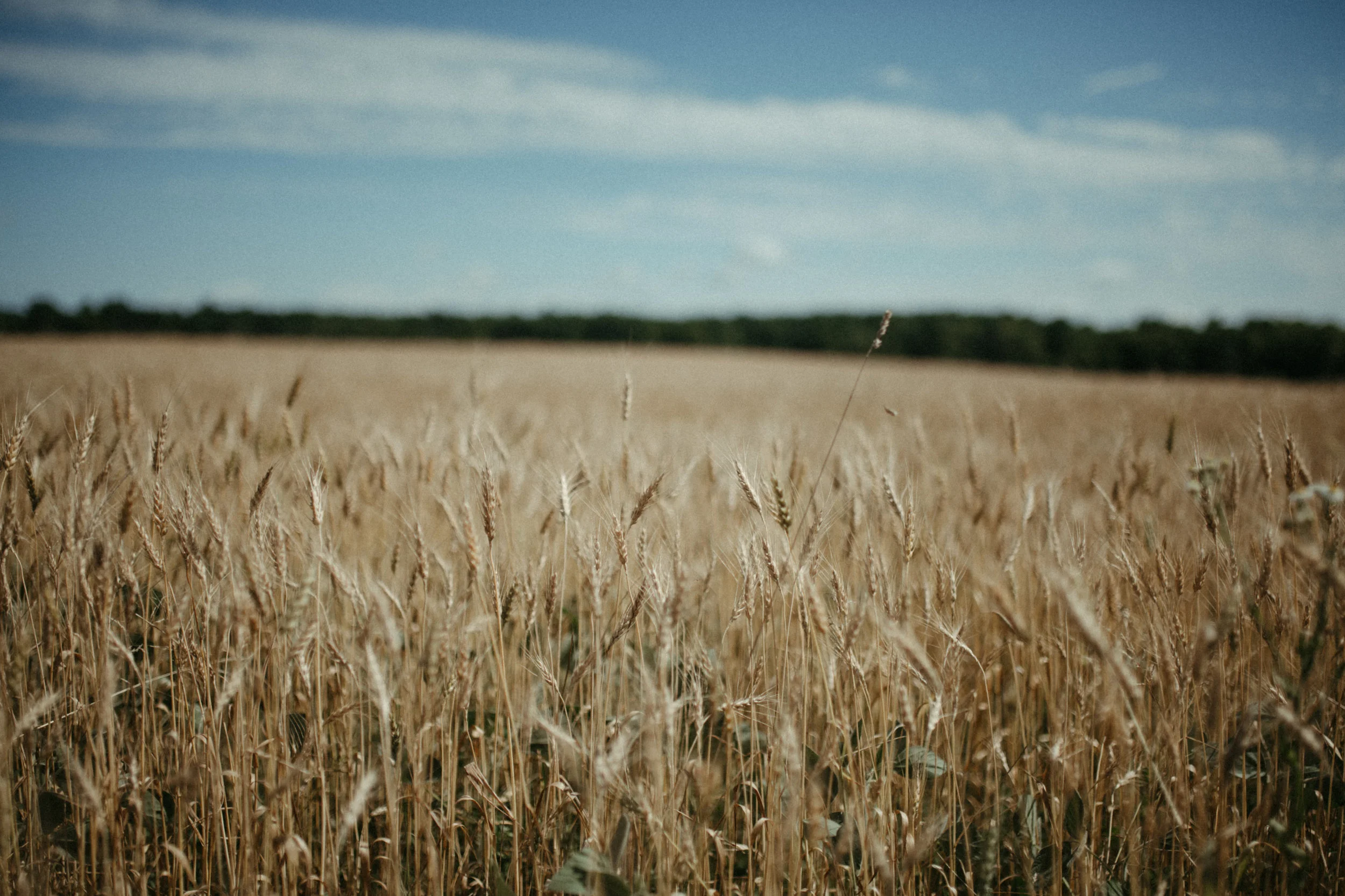 Made in the Hudson Valley