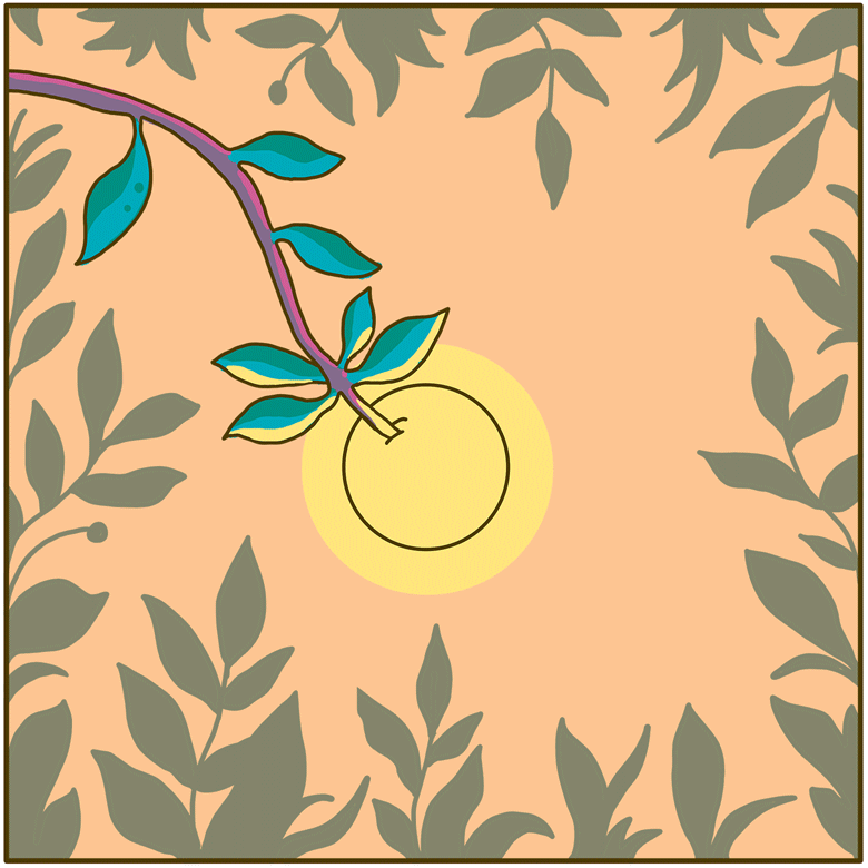 Telling the Story: The Three Unities