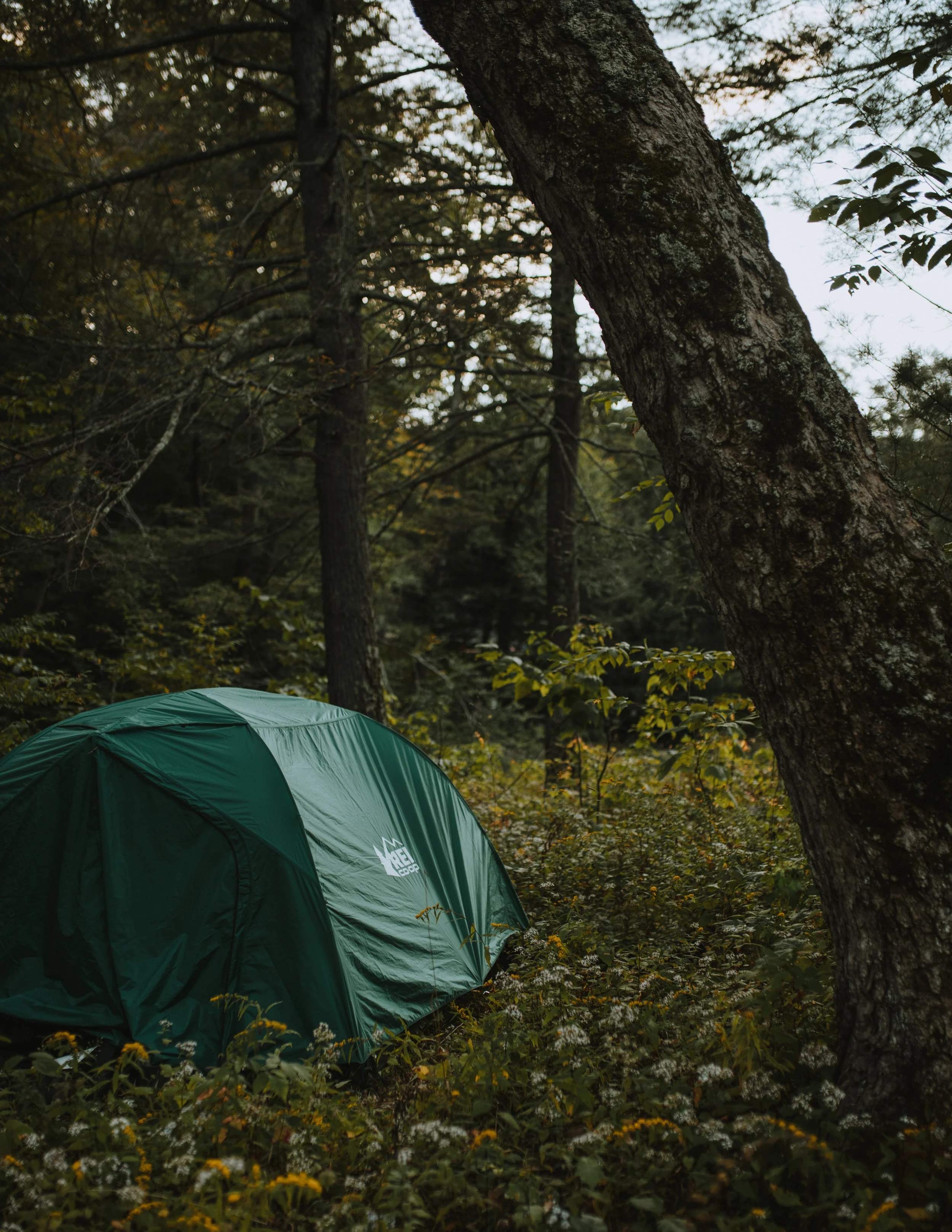 Employee Camping Trip