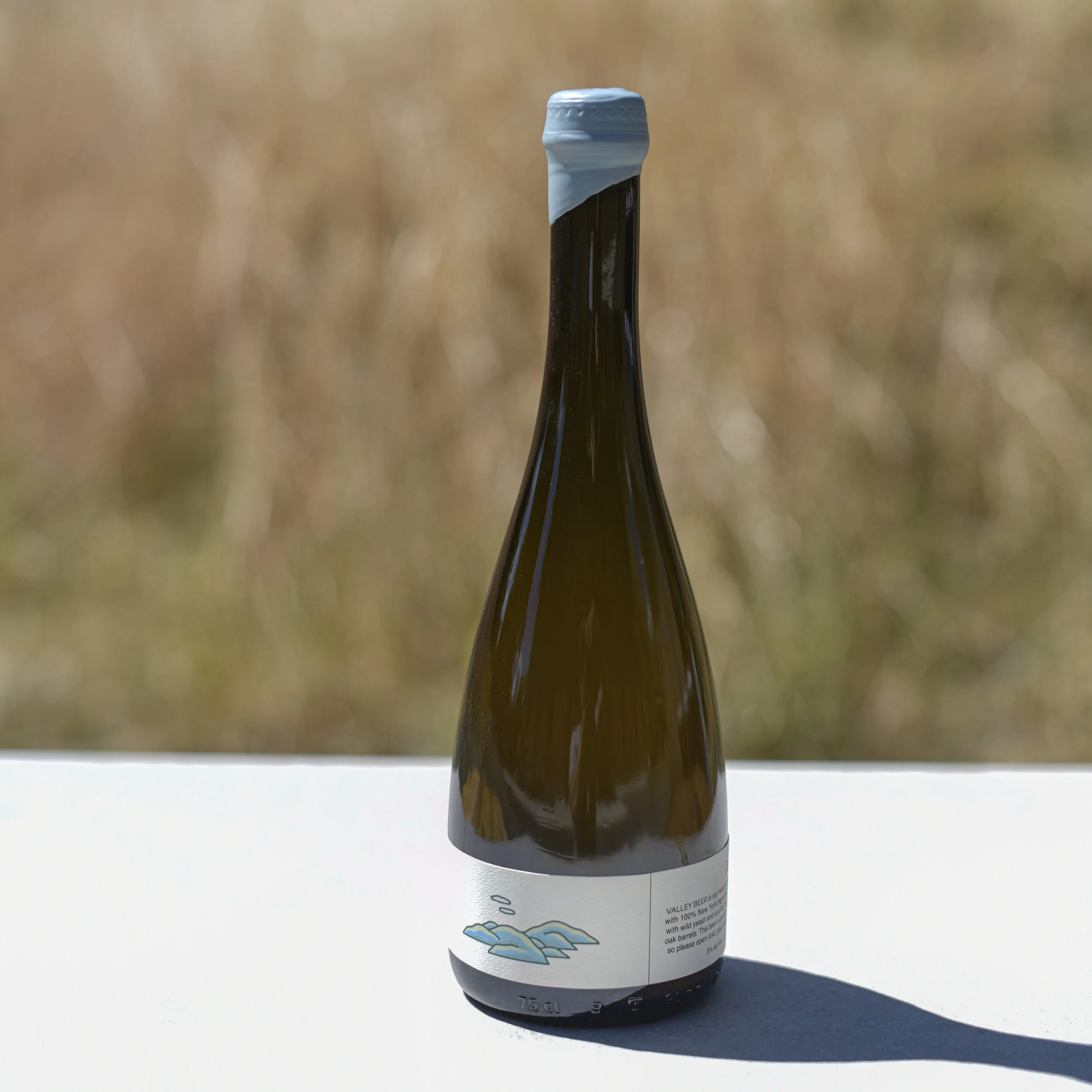 Valley Beer Summer 2019