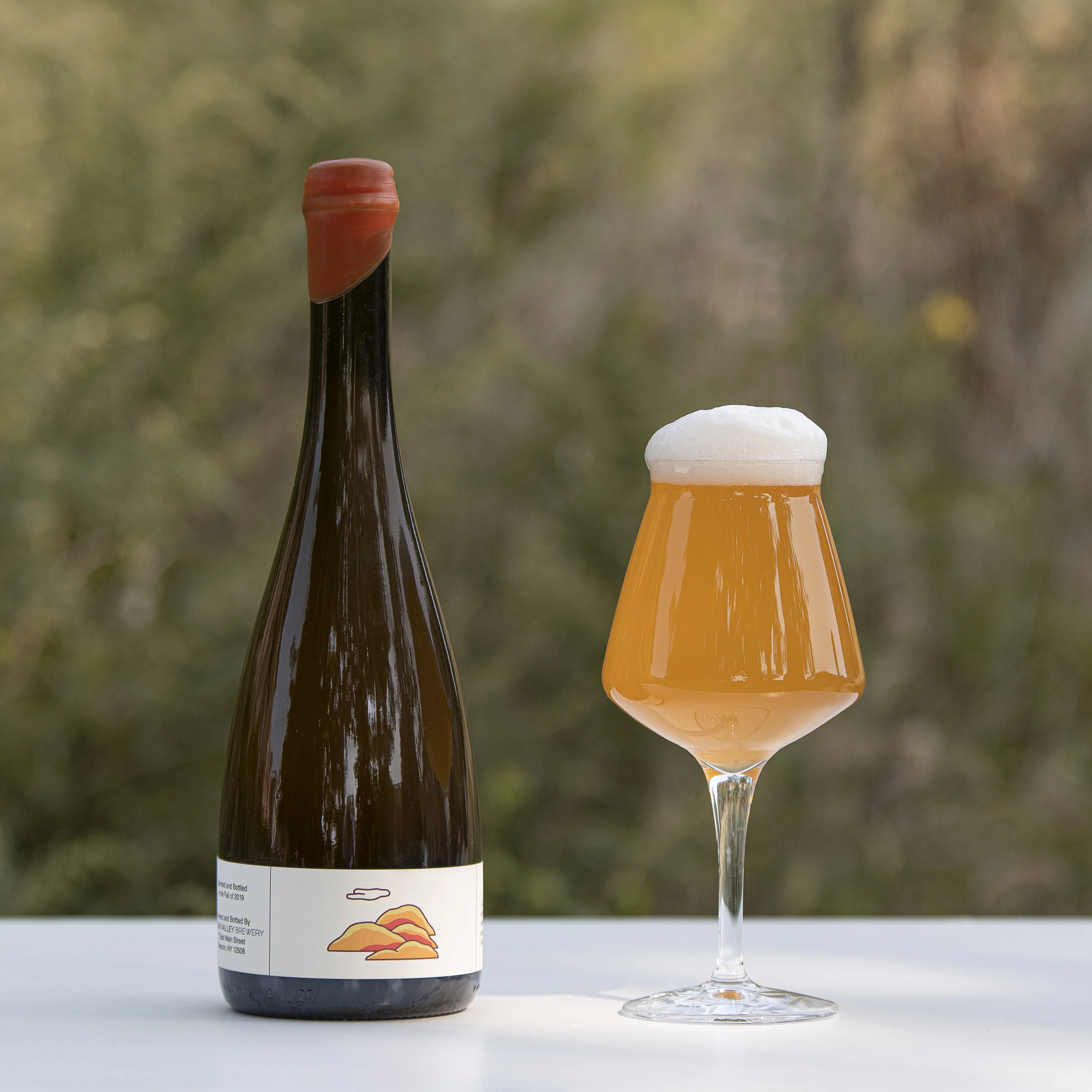 Valley Beer Fall 2019