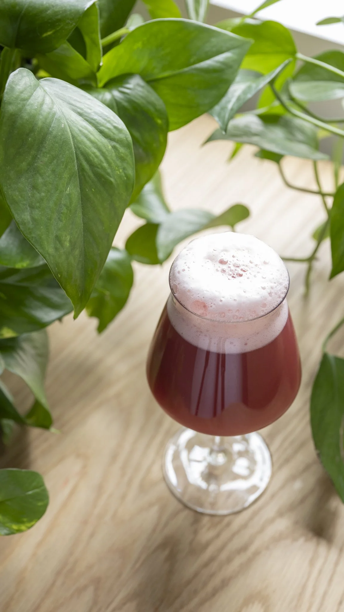 Eveningland Raspberry