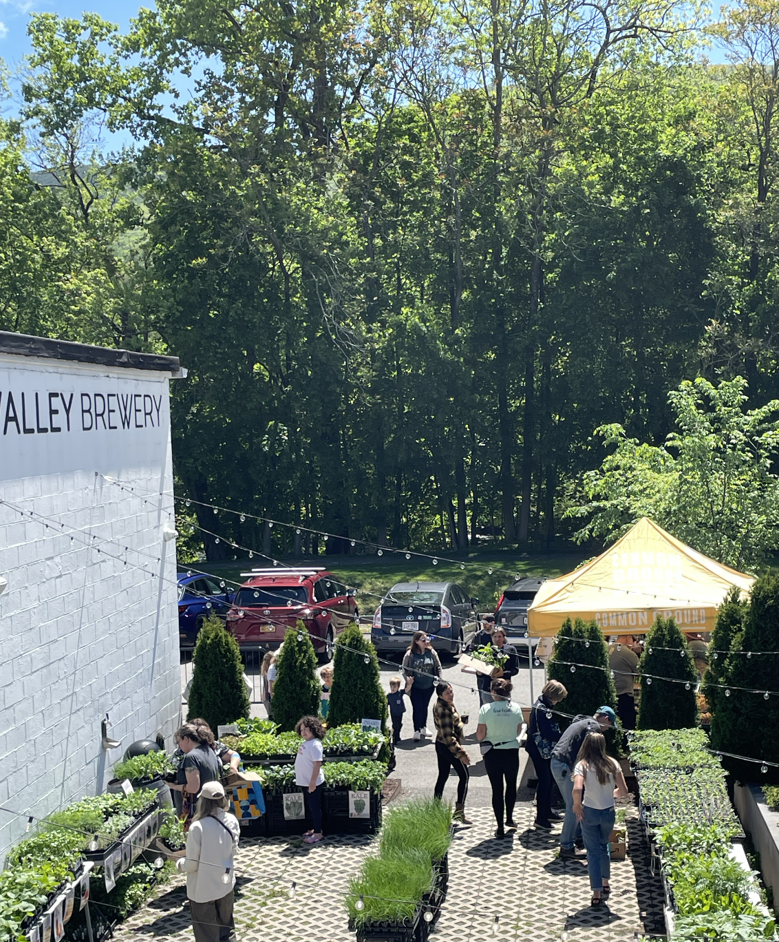Common Ground Farm Plant Sale