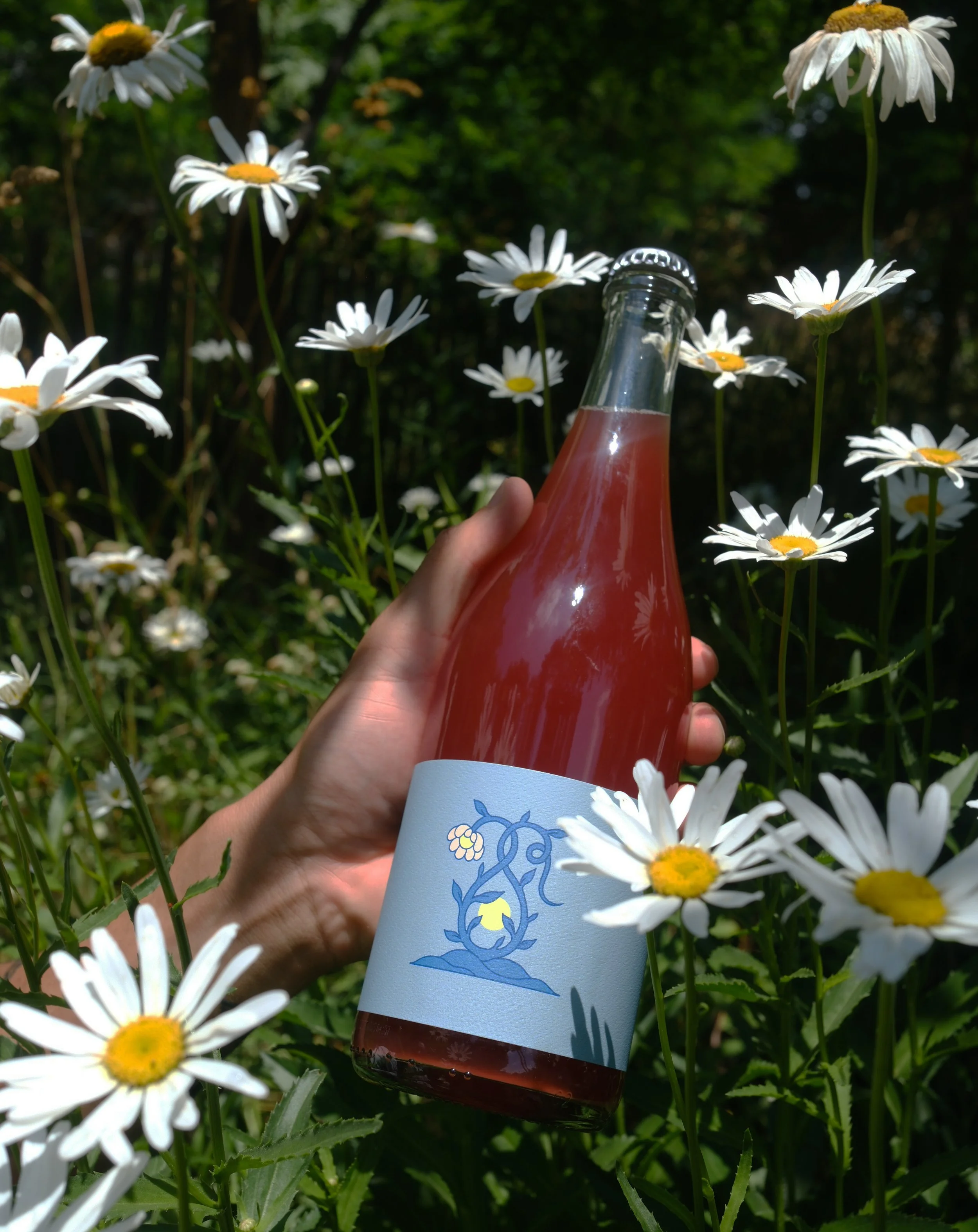 A bottle of Calliope in the sun.