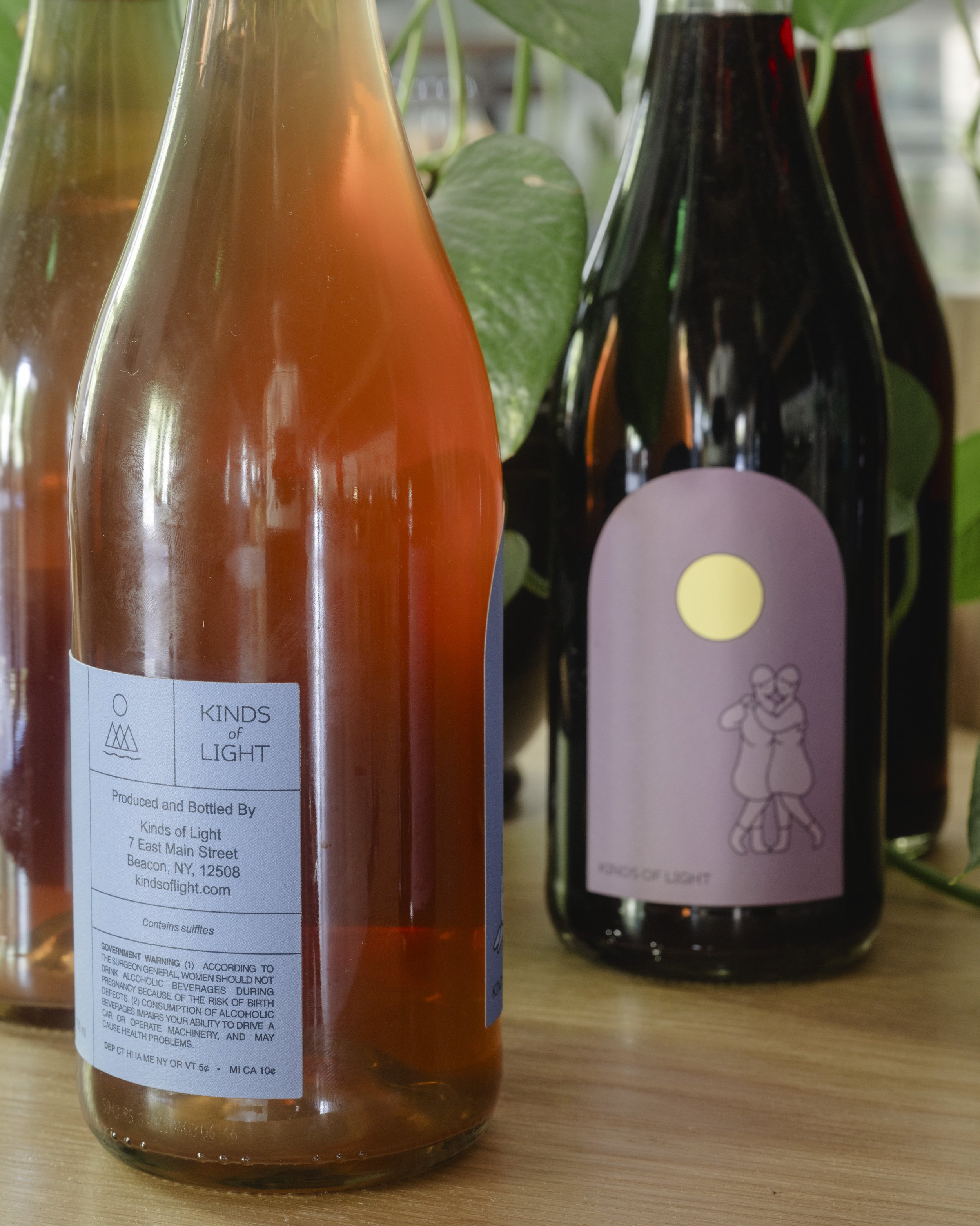 Kinds of Light 2026 Releases