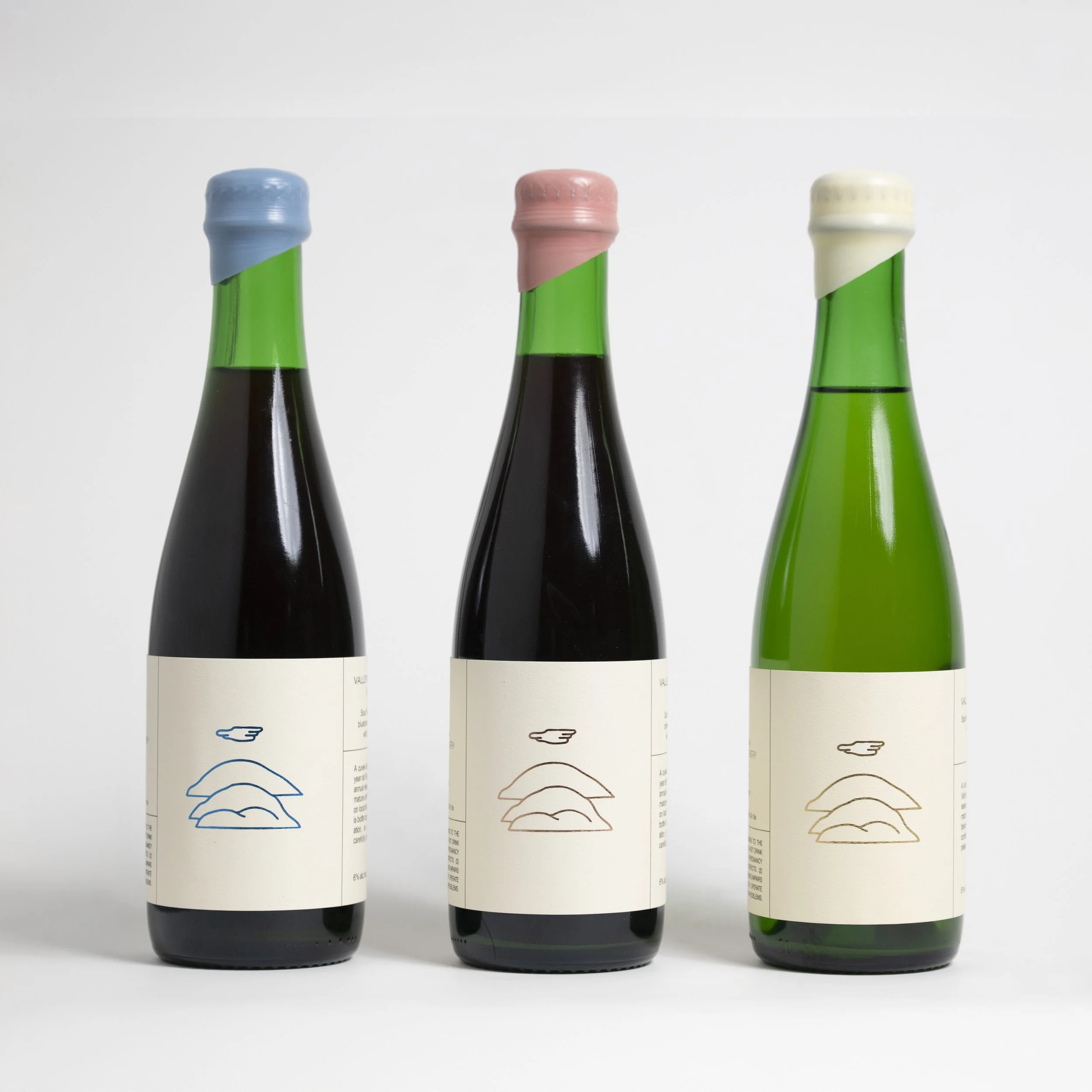 Valley Beer Vintage Kit