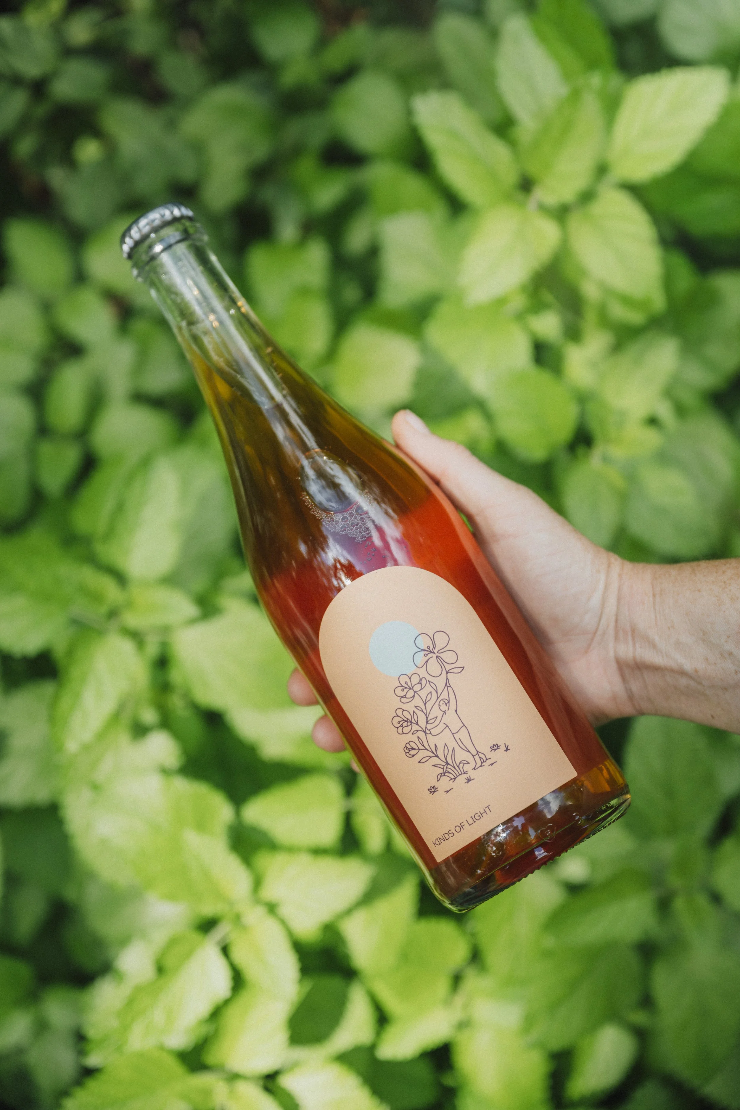 Kinds Of Light Plum Botanical Wine Cooler bottle