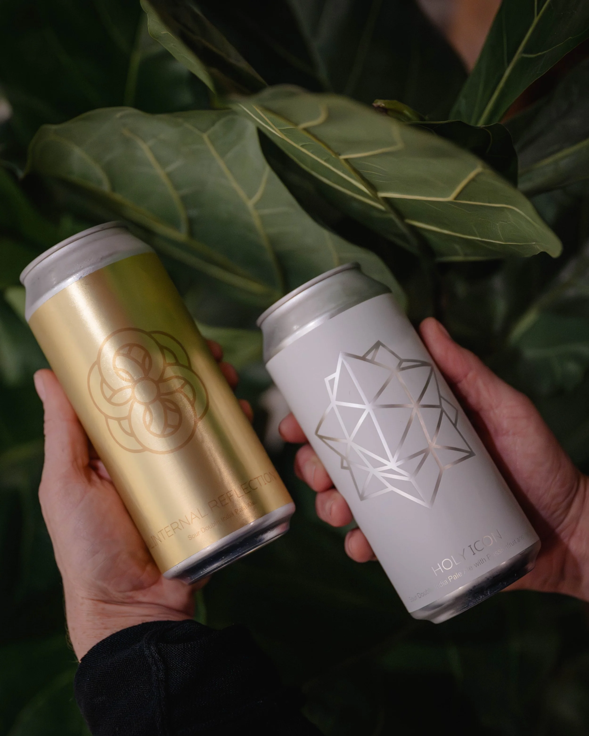 Total Internal Reflection + Holy Icon