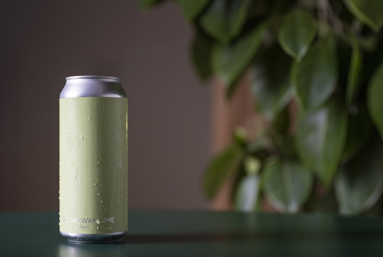 Feel No Way Lime by Hudson Valley Brewery