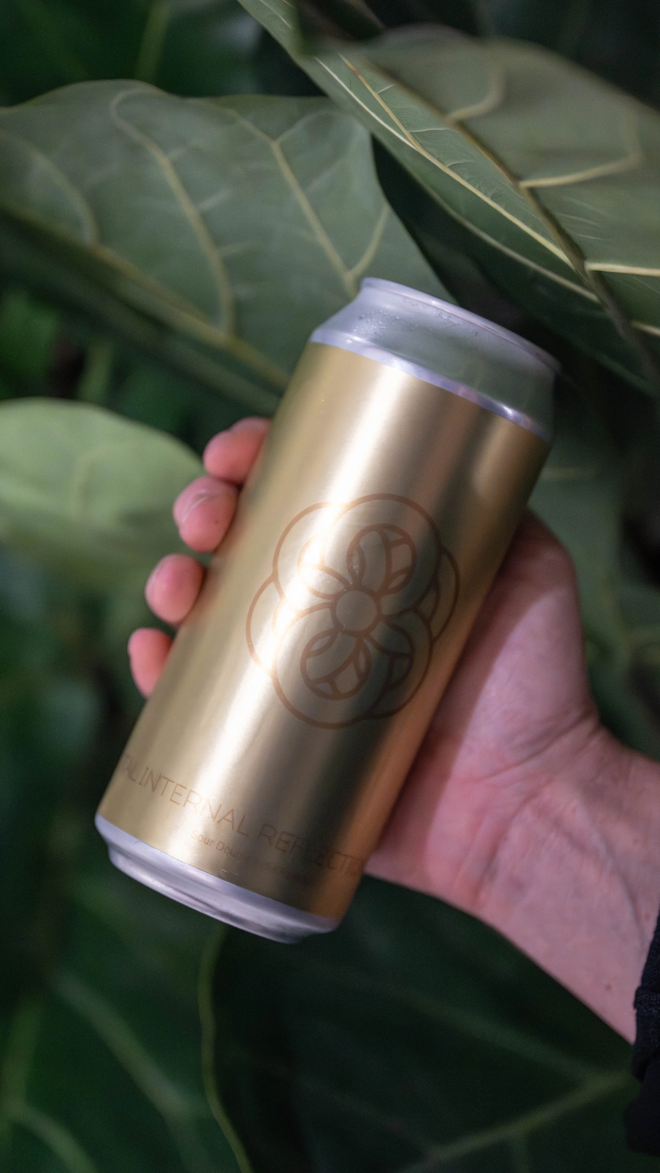 Total Internal Reflection: Citra