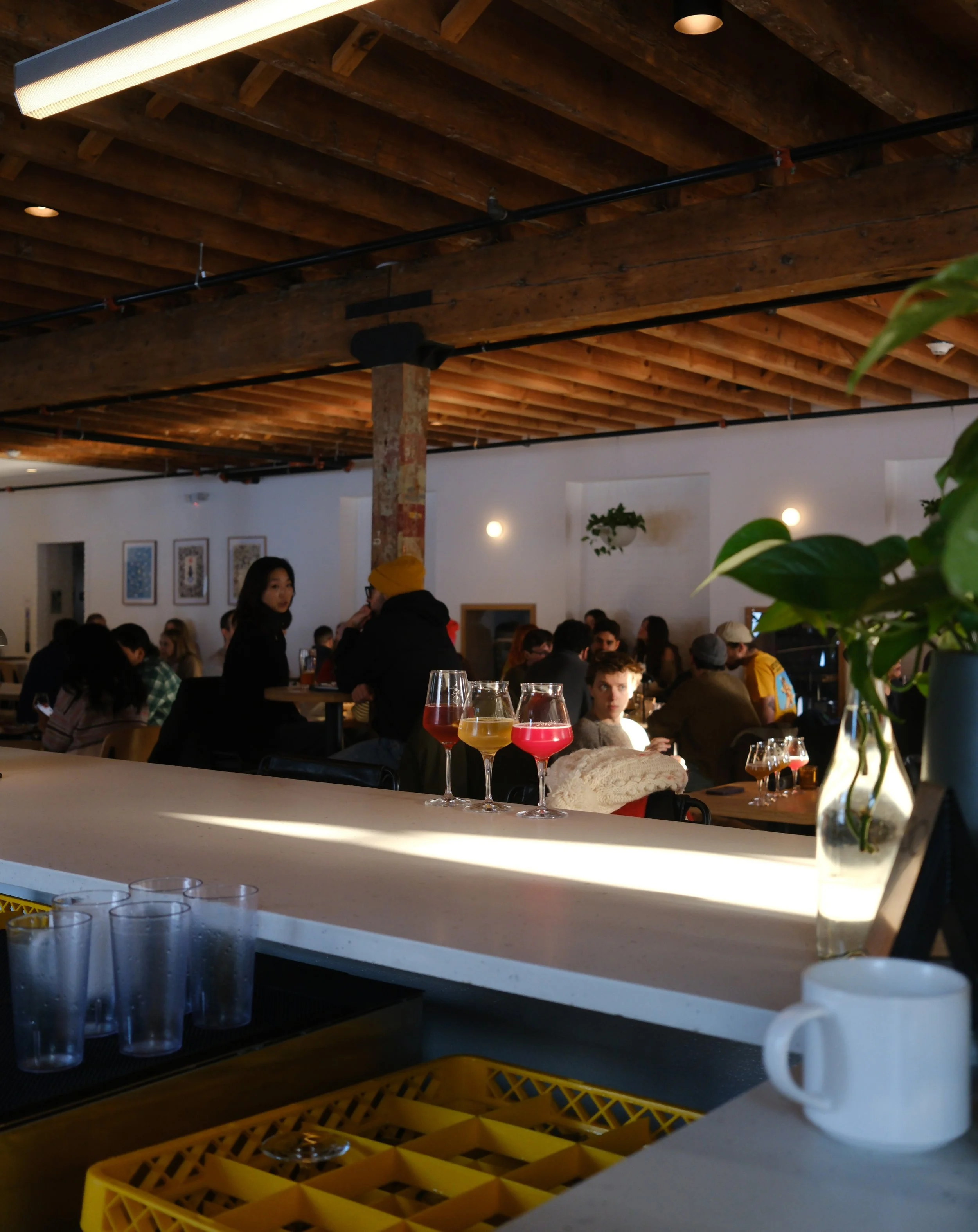 HVB-Jan-Storm_0001_Layer Comp 2.jpg