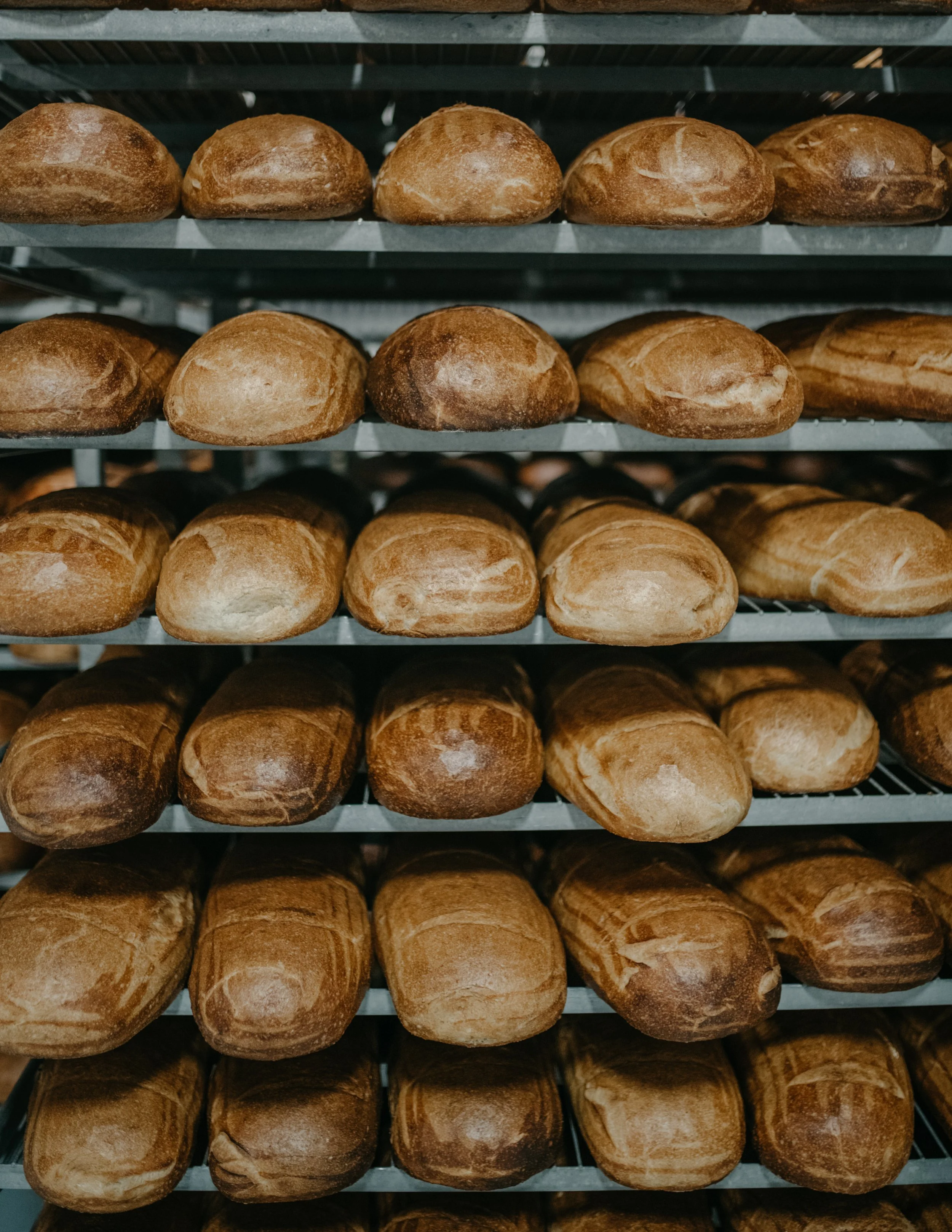 Bread Alone's beautiful baked breads