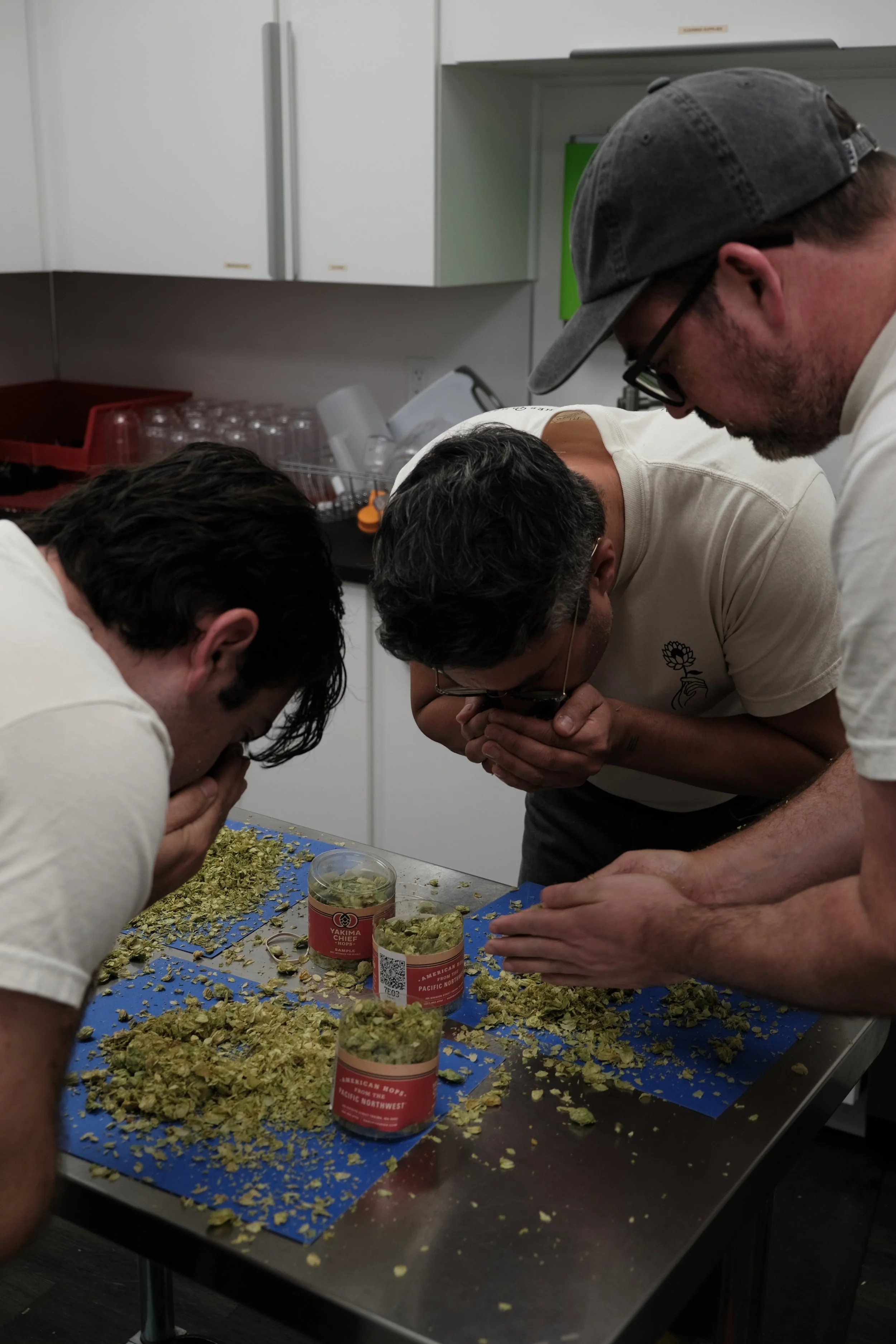 Hop Selection at Yakima Chief Hops