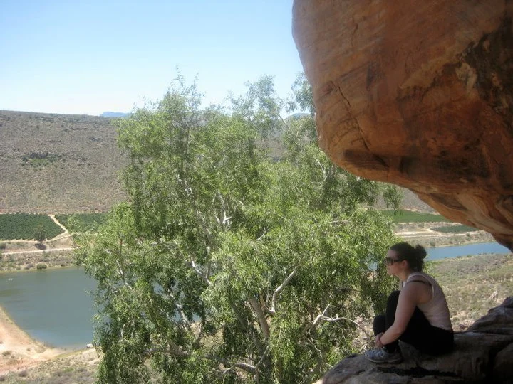 A lion king moment in South Africa