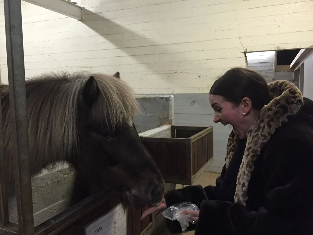 I also hung out with ponies one day and they melted my heart