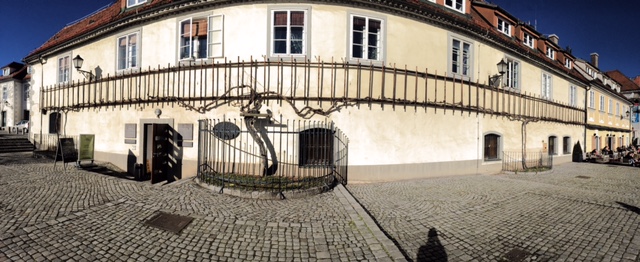 This is it! The oldest vine in the world. Exciting, isn't it?