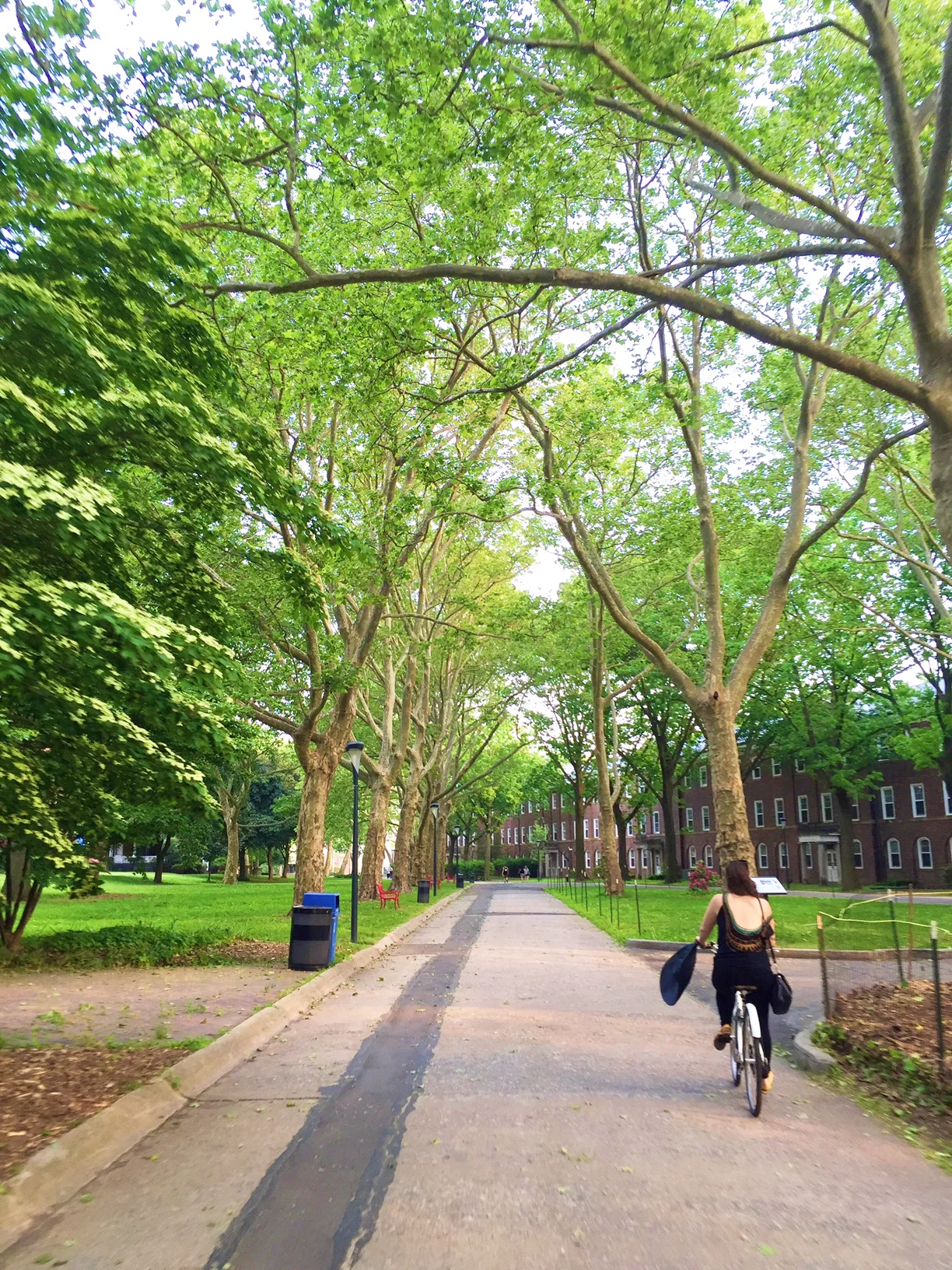 Five minutes until you're riding a bike down this little path of solitude