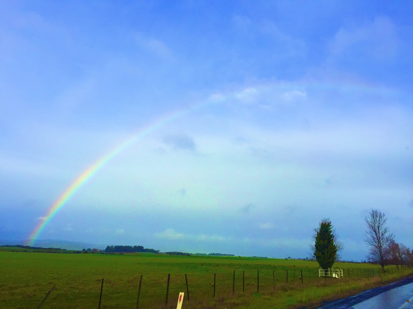 Tassie is also rainbow central