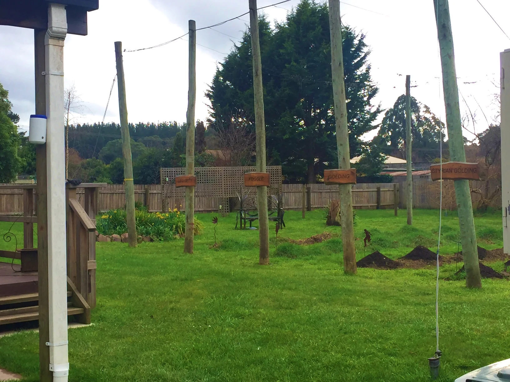 growing their own hops like local badasses