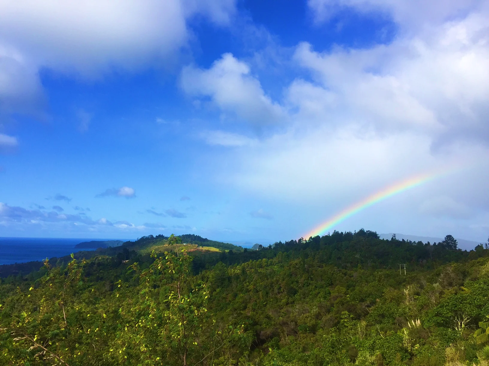 Give yourself plenty of time when driving NZ, as you will want to stop and have a few heartattacks