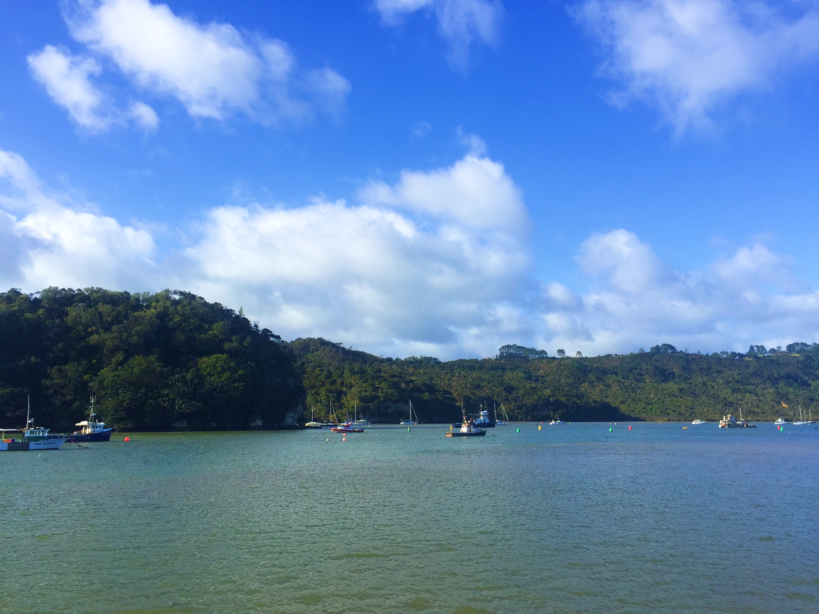 some boats, if you're into boats