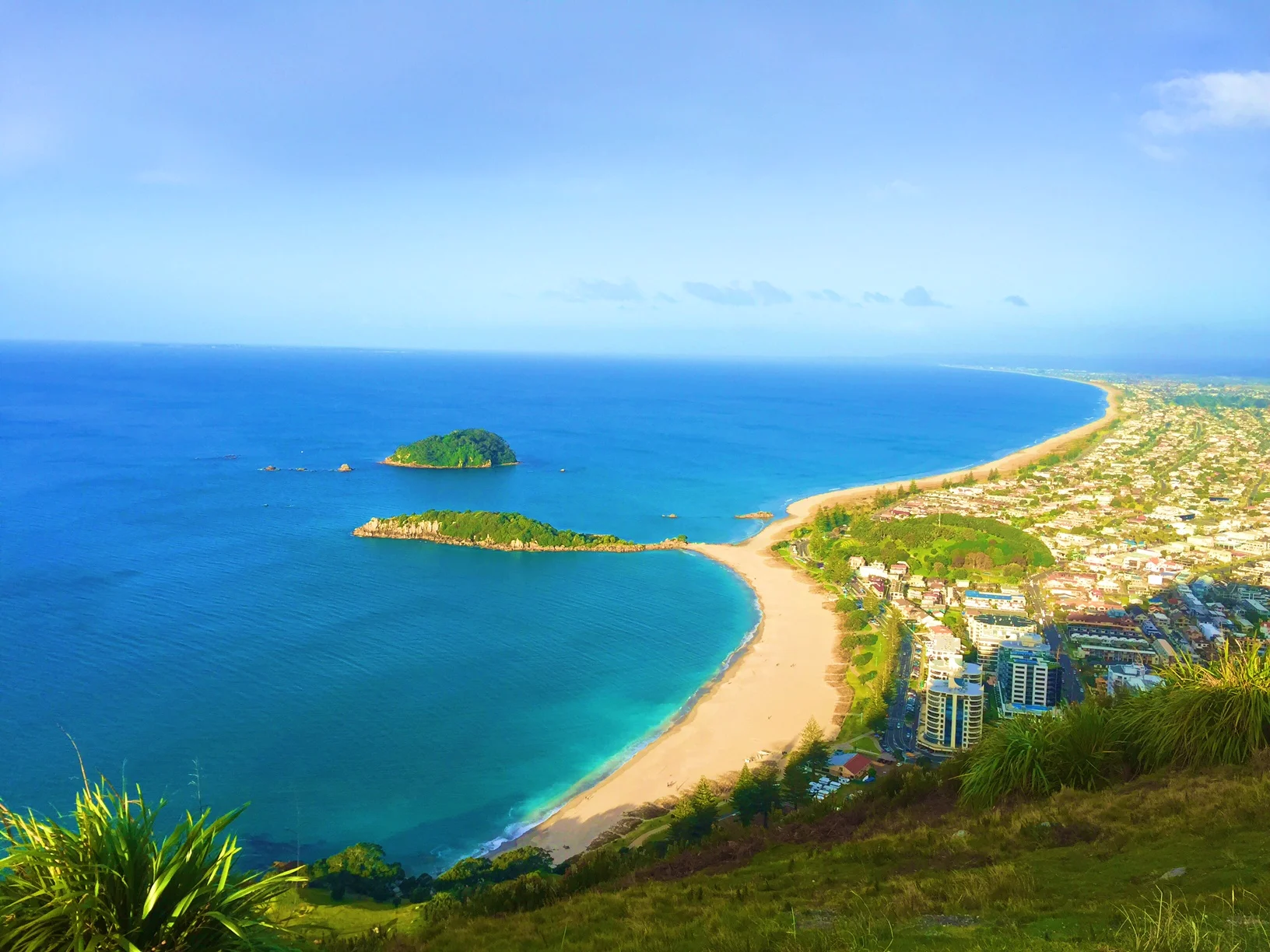 the view from atop the mountain