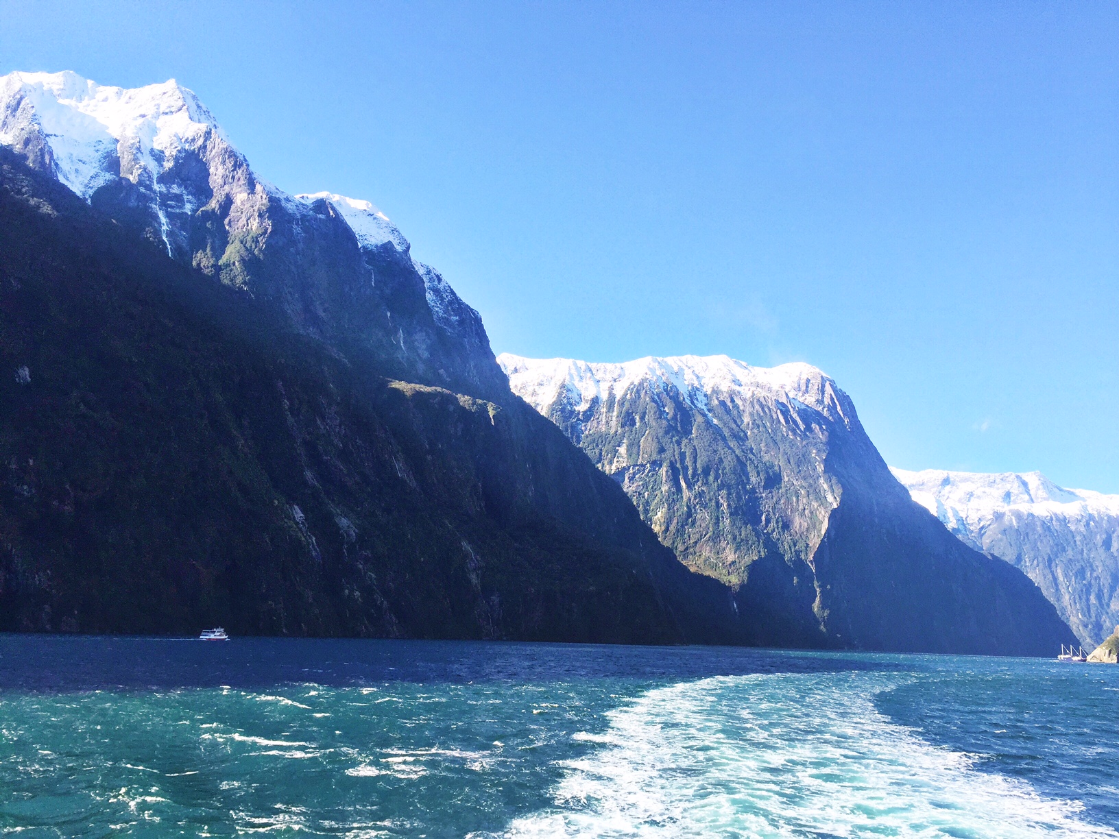 beginning of Milford Sound cruise