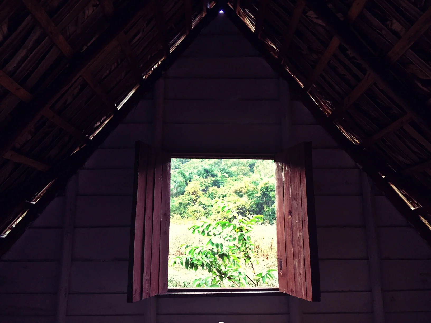 View from my shack