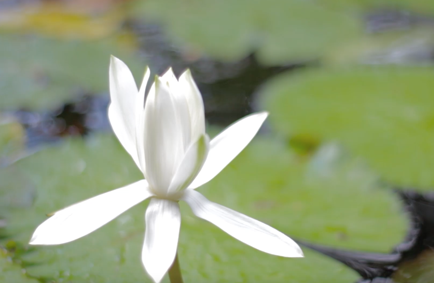 Screen Shot 2015-10-04 at 10.18.10 AM.png