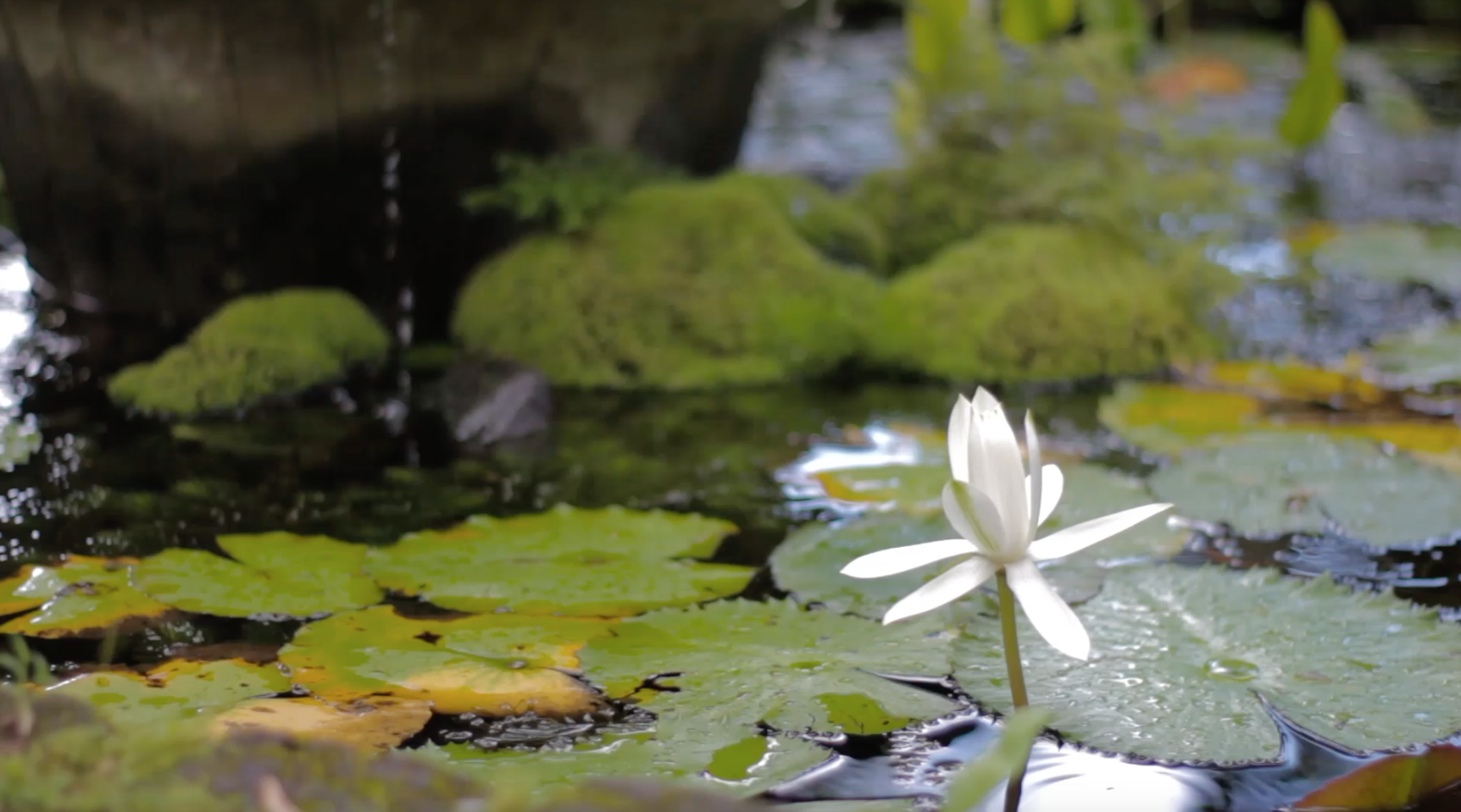 Screen Shot 2015-10-04 at 10.20.32 AM.png