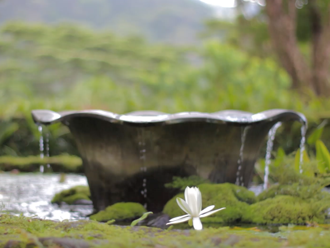 Screen Shot 2015-10-04 at 10.42.26 AM.png