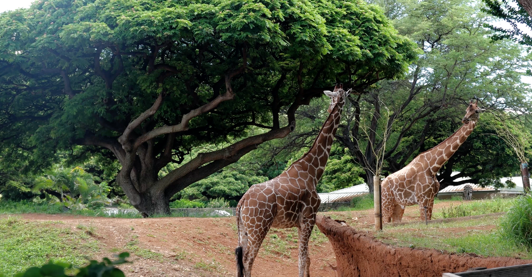 Screen Shot 2015-10-04 at 10.35.22 AM.png