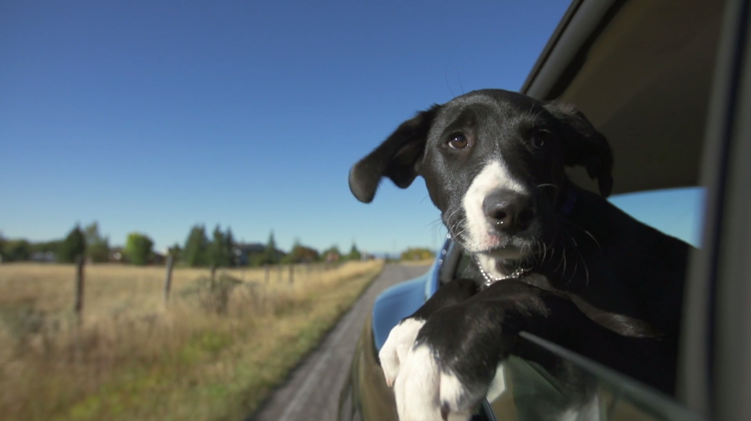 Screen Shot 2015-08-24 at 11.42.27 PM.png