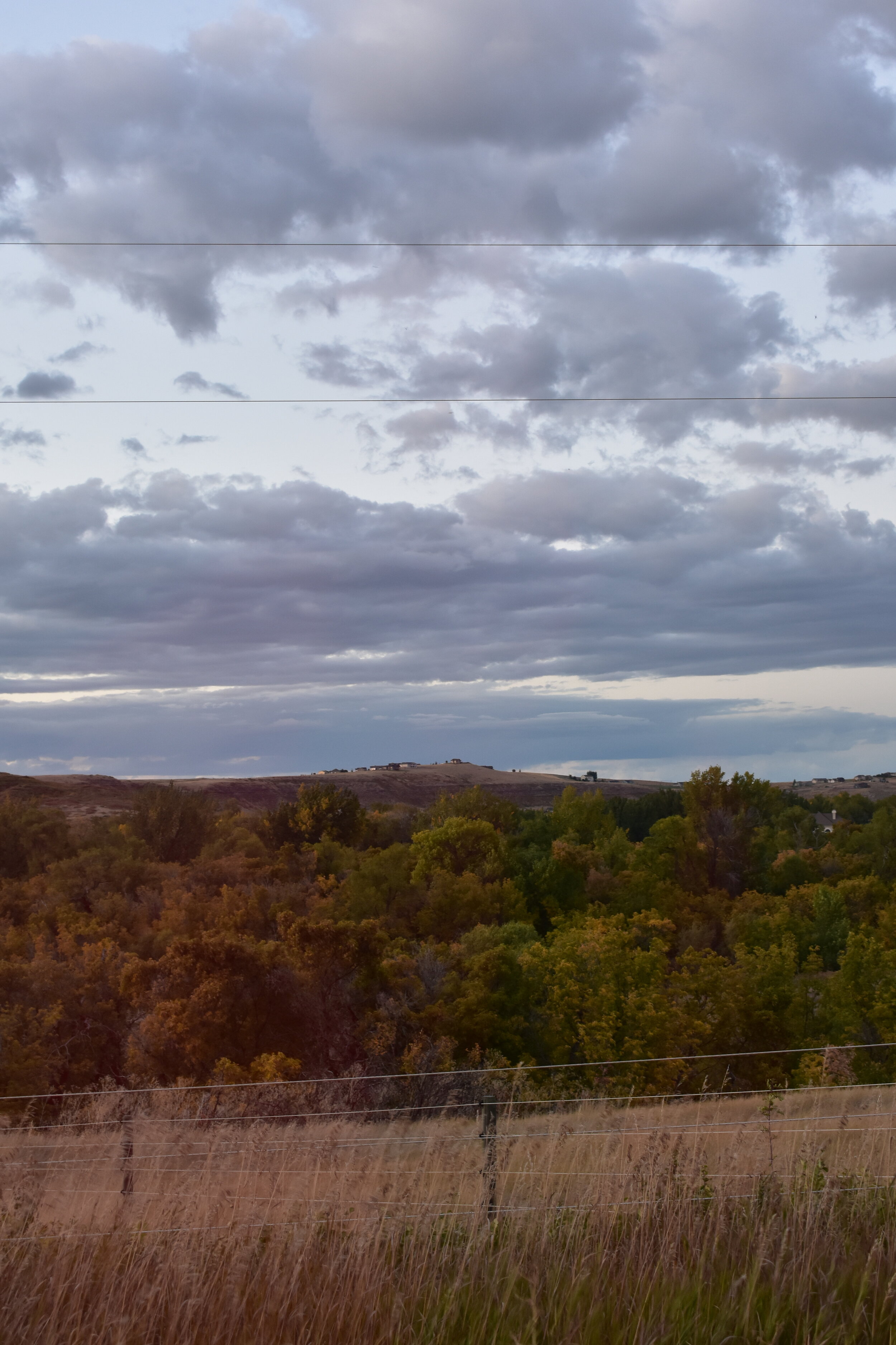 clouds trees best counseling office great falls montana.JPG