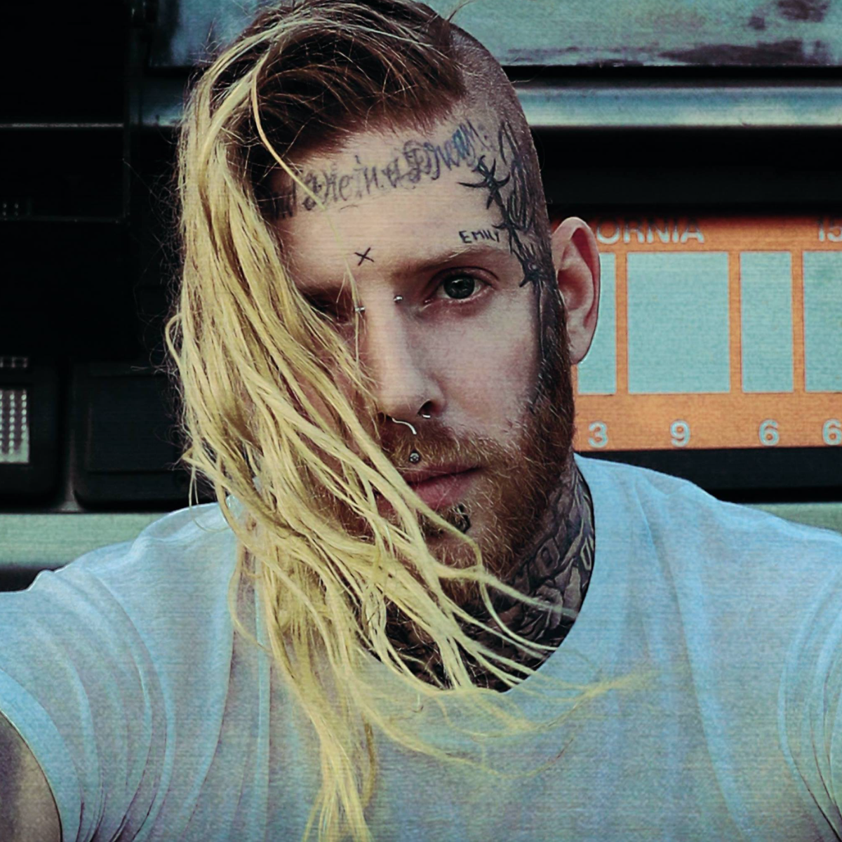 PHOTOGRAPHY — NOVA ROCKAFELLER