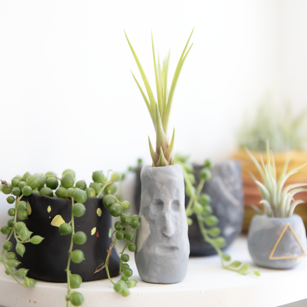 clay pots for plants diy DIY Plant pots with Polymer Clay — NOVA ROCKAFELLER clay pots for plants diy DIY Plant pots with Polymer Clay — NOVA ROCKAFELLER