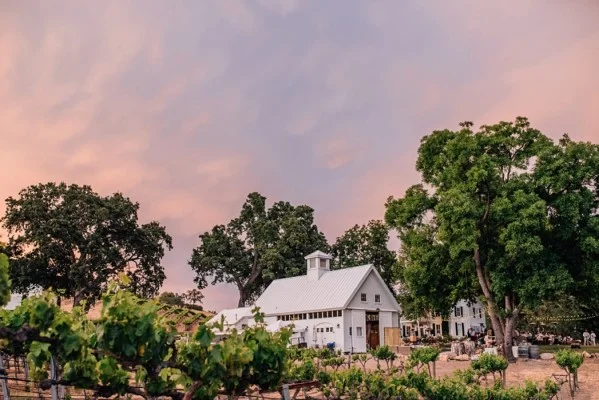 2016 Vintage TOP Release Party