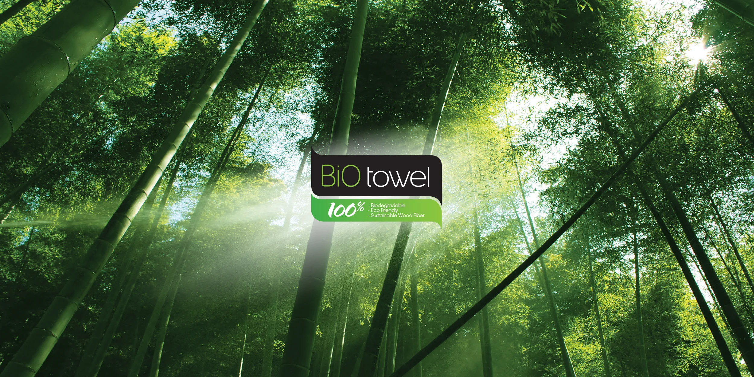 BANNERS WORKING2.jpg