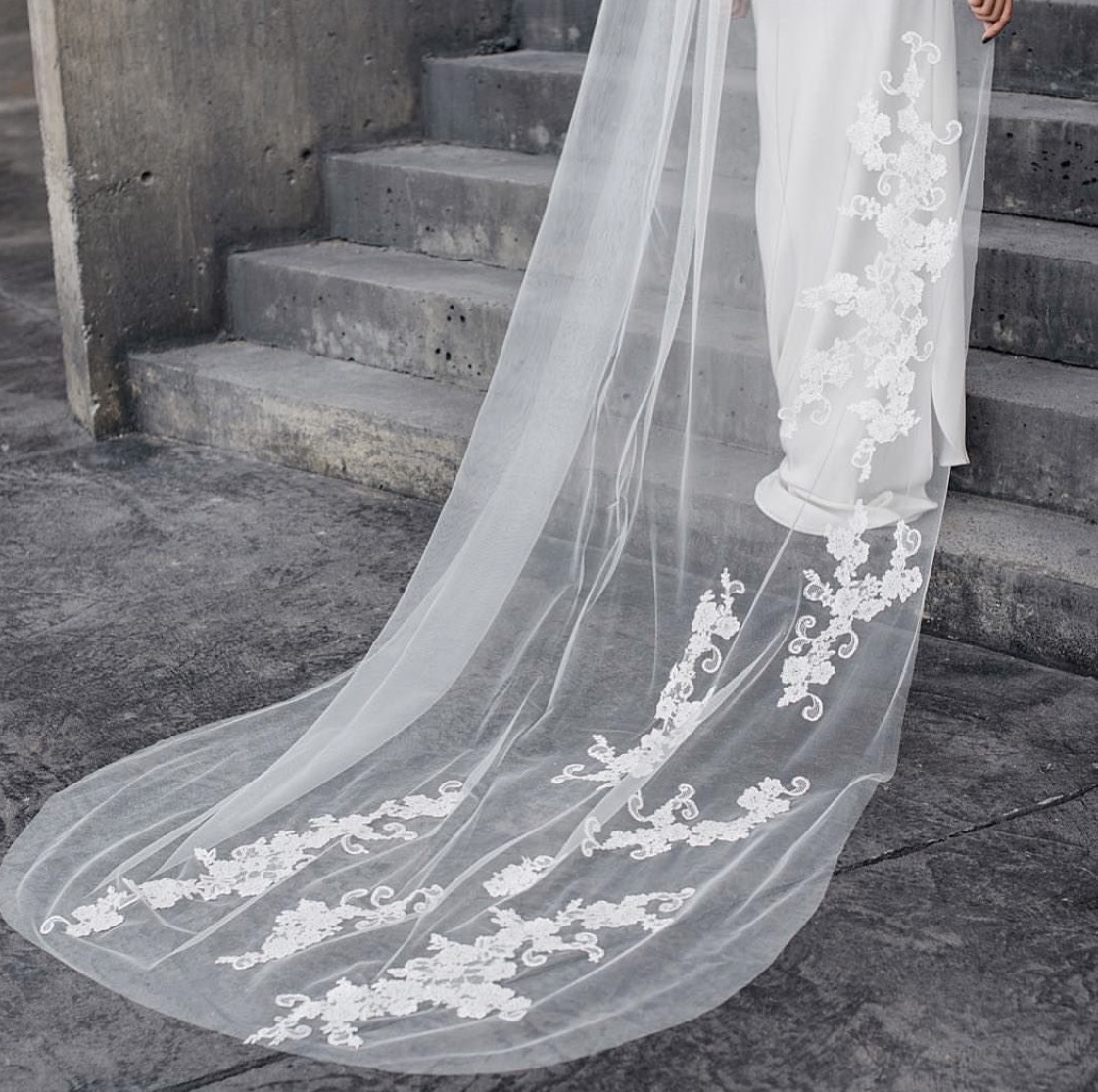 Rosalia by Daphne Newman