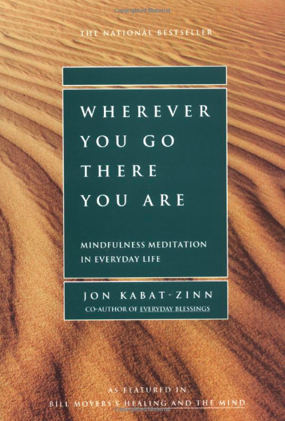 Wherever You Go book image.png