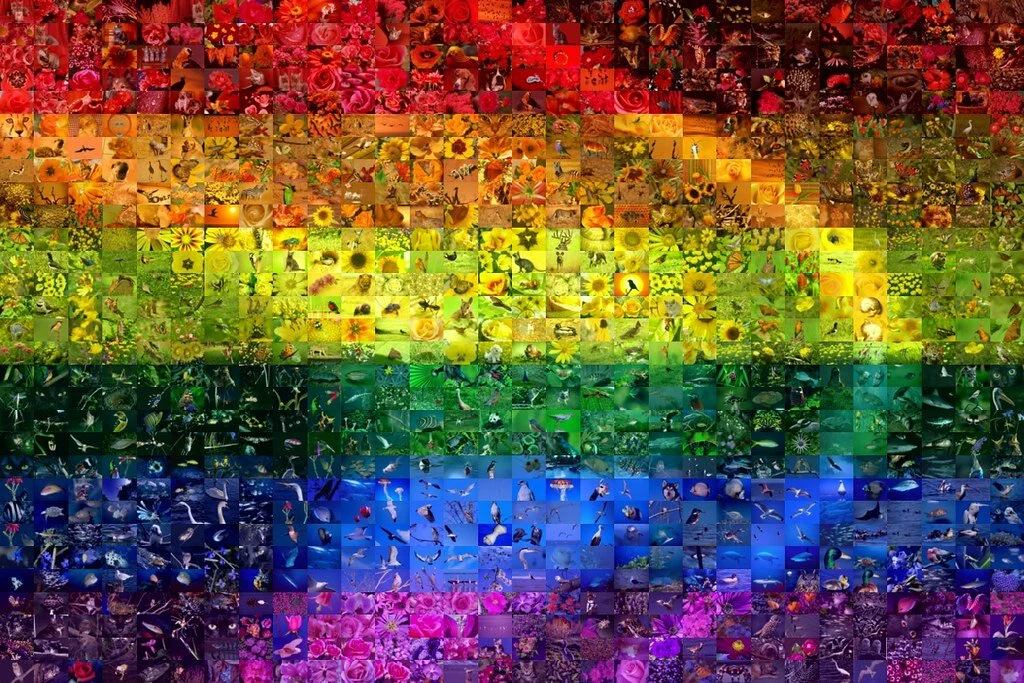 Affirm setting a high bar for diversity, equality and inclusion
